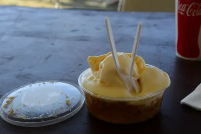 DSC_1940 (Large).JPG